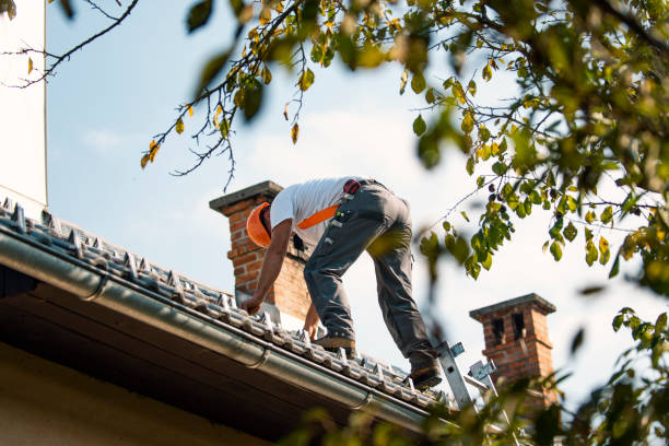 Best Residential Roofing Contractor  in Browntown, PA