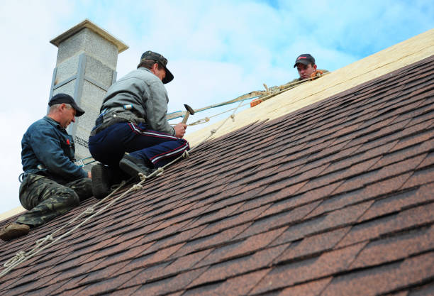 Best Gutter Installation and Roofing  in Browntown, PA